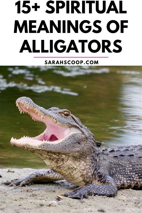 The Symbolism of the Alligator in Dreams